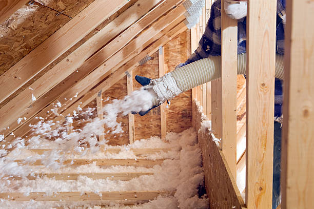 Best Wall Insulation Installation  in Junction City, KY